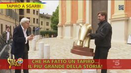 Tapiro d'oro a Vittorio Sgarbi, 70 anni di liti thumbnail