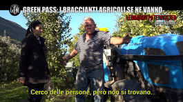 MARTINELLI: Green pass: i braccianti agricoli se ne vanno thumbnail