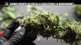 Il referendum: siamo pronti in Italia a legalizzare la cannabis? thumbnail