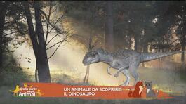 Animali da scoprire: il dinosauro thumbnail