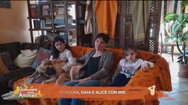 Rossana, Gaia e Alice con Iris thumbnail