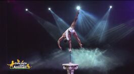 Il Circus Atmosphere, il primo circo tradizionale a non usare animali nei suoi spettacoli thumbnail