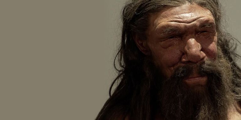 Focus Ultime notizie sui Neanderthal