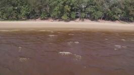 Disastro ambientale in Thailandia thumbnail