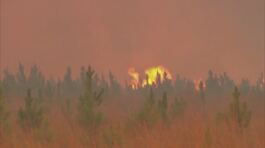 Argentina devastata dagli incendi thumbnail
