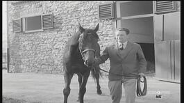 Ribot, il cavallo del secolo thumbnail