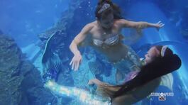 Passione mermaiding thumbnail