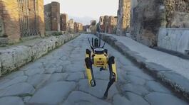 Un cane robot a guardia di Pompei thumbnail
