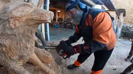 Lo scultore con la motosega thumbnail