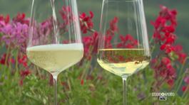Vinitaly, un'eccellenza mondiale thumbnail