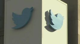 Elon Musk si prende Twitter thumbnail