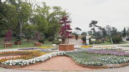 Alla scoperta del mondo dei fiori thumbnail