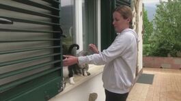 Il coraggio delle mamme ucraine thumbnail