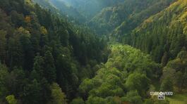 Il Parco Nazionale delle Foreste Casentinesi thumbnail