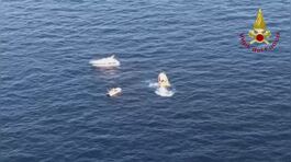 Argentario, morte in mare thumbnail