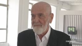 L'opera di Michelangelo Pistoletto thumbnail