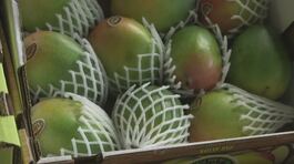 Italia tropicale, frutta esotica thumbnail