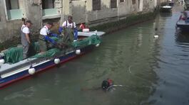 Venezia, sub "a pesca" di rifiuti thumbnail