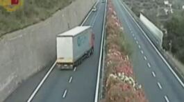Un'estate di follie al volante thumbnail