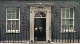 Una donna verso Downing Street thumbnail