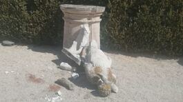 Selfie da vandali a Villa Borghese thumbnail