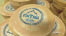 Come nasce la Fontina d'alpeggio DOP thumbnail