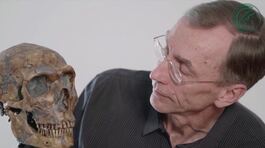 Nobel al padre della paleogenetica thumbnail