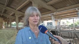 Renata Lovati ci svela i segreti dell'agricoltura biologica della Cascina Isola Maria thumbnail