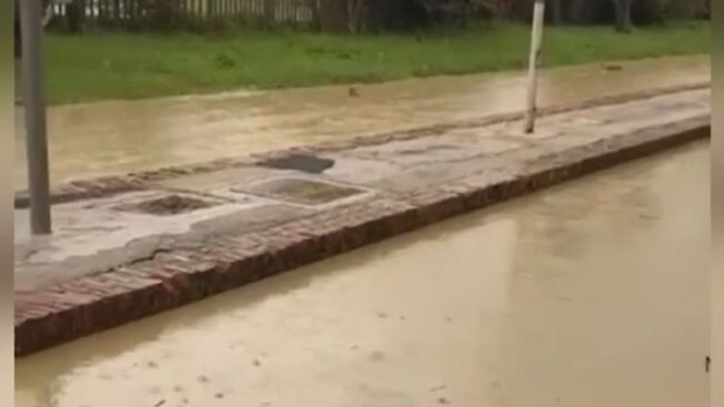 12 bombe d'acqua riutilizzabili, in silicone a chiusura automatica, con