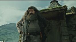 Addio al gigante di Harry Potter thumbnail