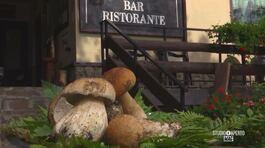 I funghi al centro del menu del ristorante Sella, sul Monte Amiata thumbnail
