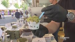 Il pistacchio di Bronte thumbnail
