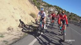 Ciclismo, Sonny Colbrelli si ritira thumbnail