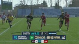 Rugby, le Zebre Parma oggi affrontano gli irlandesi del Connacht thumbnail
