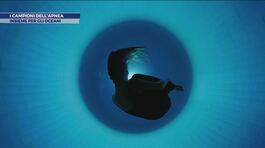 I campioni dell'apnea insieme per gli oceani thumbnail
