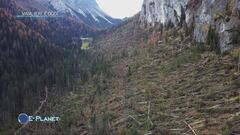 Vaia, ieri e oggi: dopo 40.000 ettari di boschi distrutti