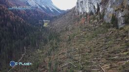 Vaia, ieri e oggi: dopo 40.000 ettari di boschi distrutti thumbnail