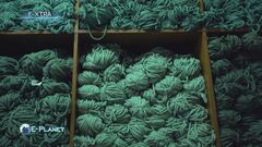 E-Xtra: Sempre più aziende tessili diventano green