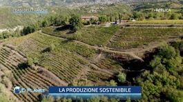 L'Oasi delle Langhe: uno degli oltre 100 progetti di tutela della biodiversità del WWF thumbnail