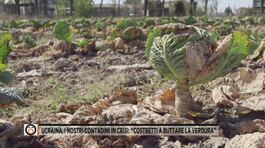 Ucraina, i nostri contadini in crisi: "Costretti a buttare la verdura" thumbnail