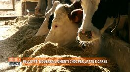 Bollette e guerra: aumenti choc per latte e carne thumbnail