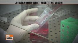 La falsa notizia dei feti abortiti nei vaccini thumbnail