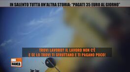 In Salento tutta un'altra storia: "Pagati 35 euro al giorno" thumbnail