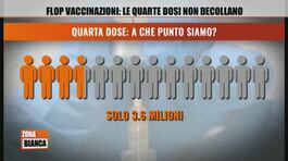 Flop vaccinazioni: le quarte dosi non decollano thumbnail