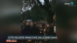 Città violente minacciate dalle baby gang thumbnail