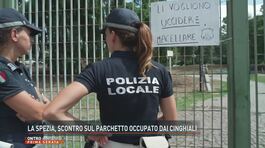La Spezia, scontro sul parchetto occupato dai cinghiali thumbnail