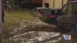Alluvione nelle Marche, almeno sette i morti thumbnail