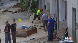 Marche, un'apocalisse Morti, feriti, dispersi thumbnail