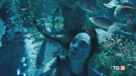 "Avatar la via dell'acqua " nelle sale italiane a dicembre thumbnail