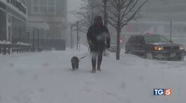 Bufera di neve in Usa, costa est paralizzata thumbnail
